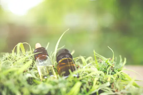 CBD e sport: leggi, usi e benefici negli sportivi