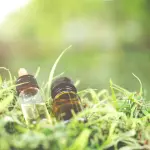 CBD e sport: leggi, usi e benefici negli sportivi